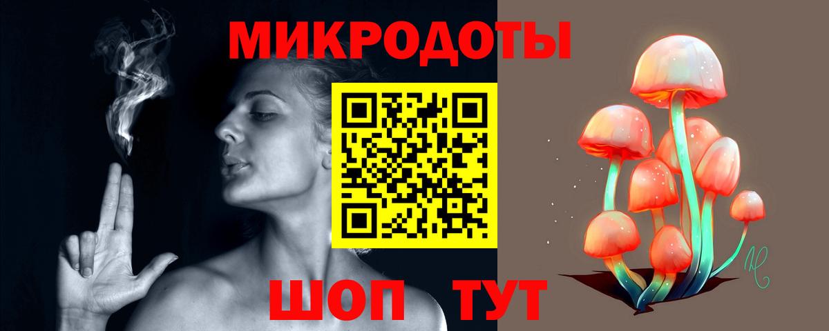 Псилоцибиновые грибы Psilocybe Солнечногорск